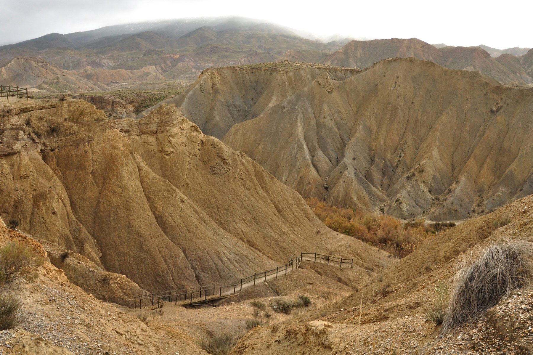 Tabernas